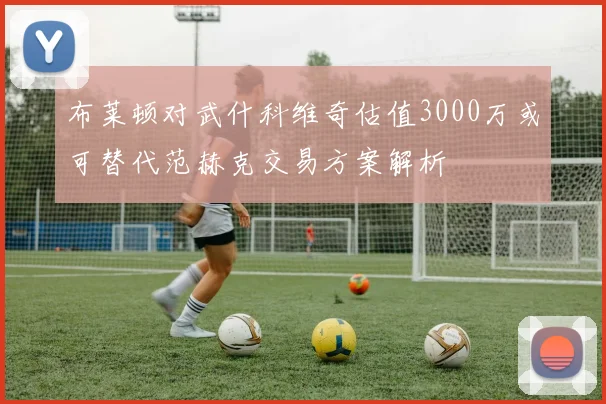 布莱顿对武什科维奇估值3000万或可替代范赫克交易方案解析